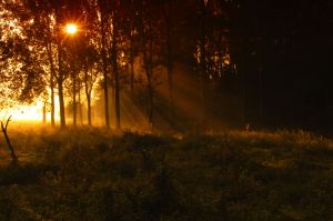 Photo used by permission of TouTouke (Agnes Scholiers)