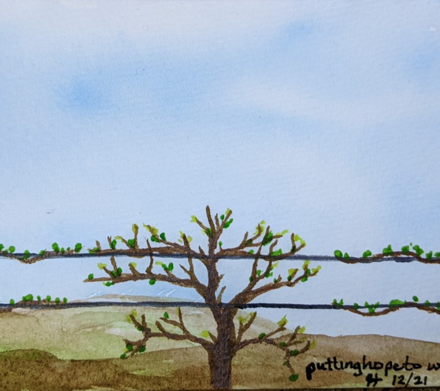 "Unruly Vines" www.PuttingHopeToWork.Com