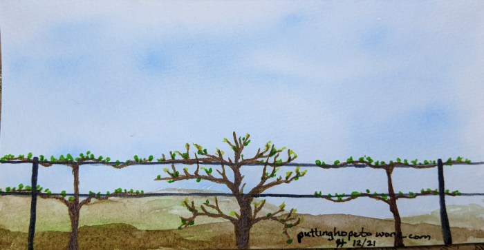 Unruly Vines | PuttingHopeToWork.Com